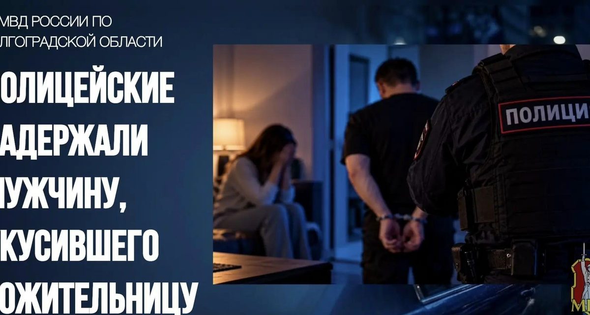 В Волжском мужчину арестовали по делу об укусе сожительницы за нос