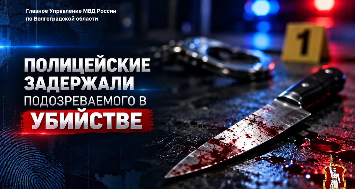 76-летний волгоградец сознался, что смертельно ранил знакомого во время ссоры
